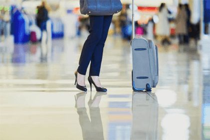 Two-Wheeled Bags