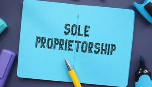 Sole Proprietorship business entity