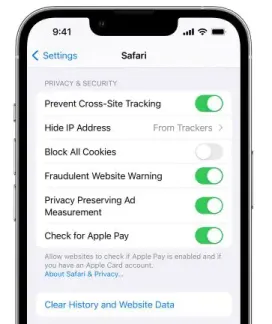 Borre el caché y el historial de Safari para administrar el almacenamiento del iPhone