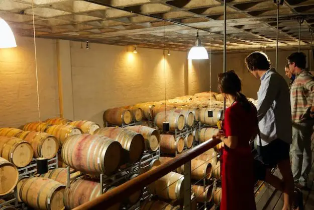 Stappare opportunità: come investire nelle aziende vinicole