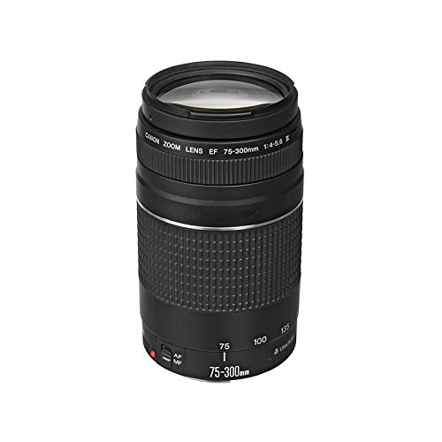 佳能 EF 75-300mm f/4-5.6 III 长焦变焦镜头，适用于佳能单反相机