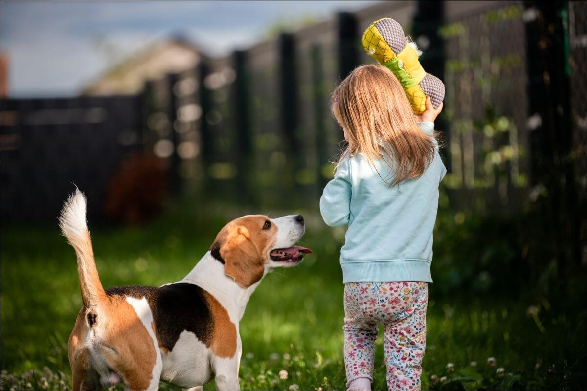 service de dissuasion pour animaux de compagnie