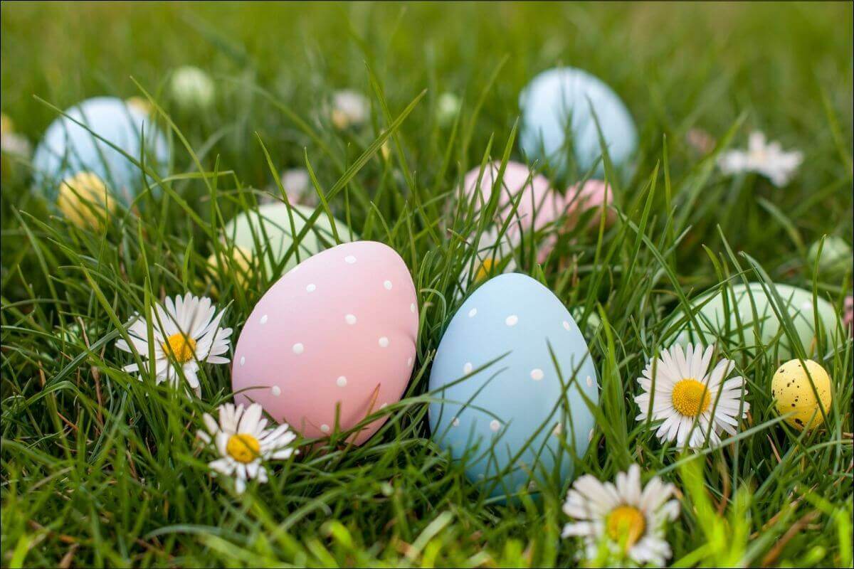 búsqueda de huevos de Pascua