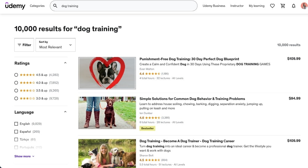 Udemyで犬のトレーニングコースを検索した結果