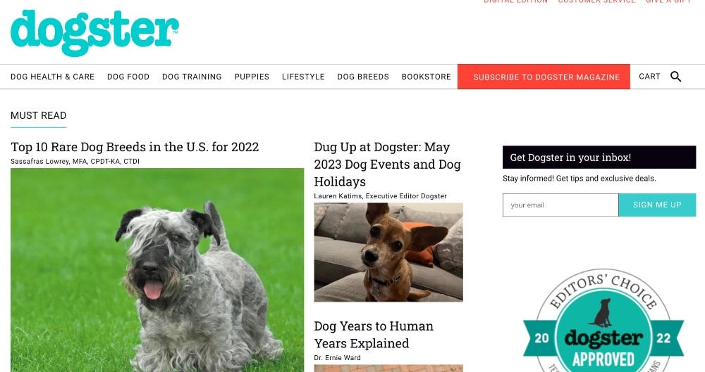 Screenshot der Dogster-Website