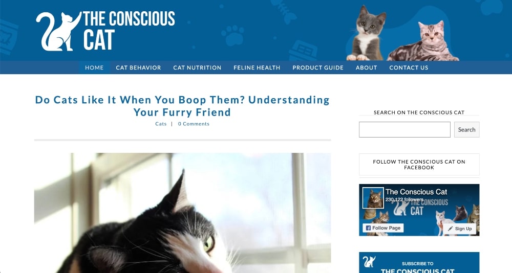 Die Conscious Cat-Website