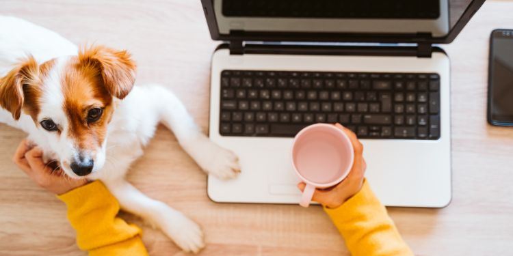 mujer escribiendo en la computadora y acariciando al perro