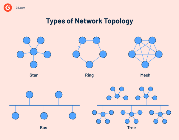 Typy topologii sieci