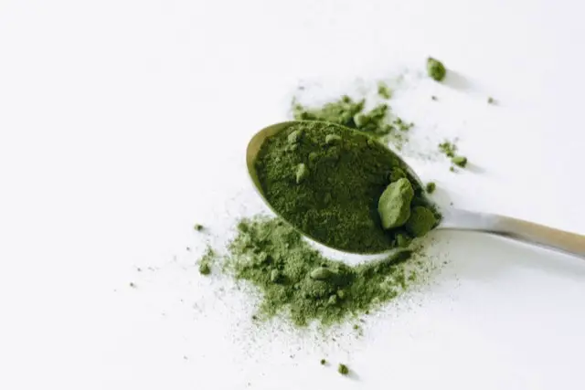 Warum ist die Toss-and-Wash-Kratom-Methode bei Amerikanern beliebt?