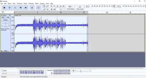 audacity でオーディオの全体部分を選択してバックグラウンドノイズを除去します