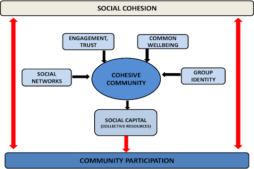 cohesión social y participación comunitaria