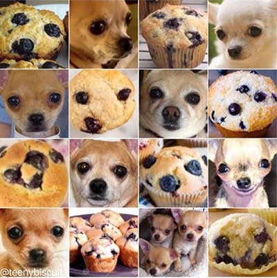 犬とチョコチップマフィンのAI例