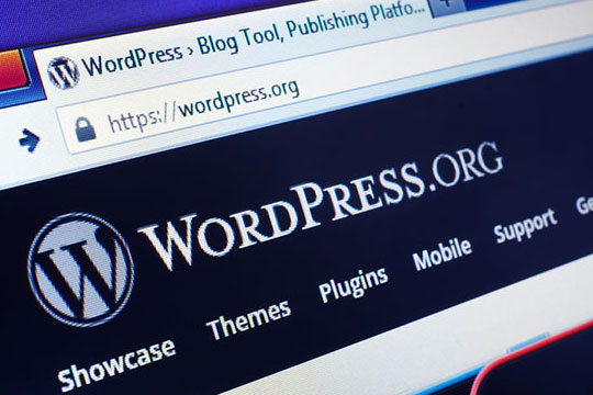 WordPress-网站-URL