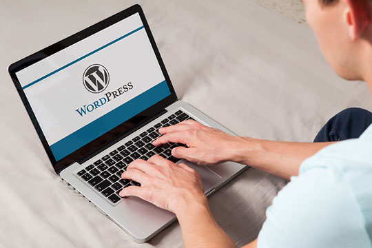 WordPress