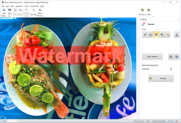 SoftOrbits-Photo-Stamp Remover-3