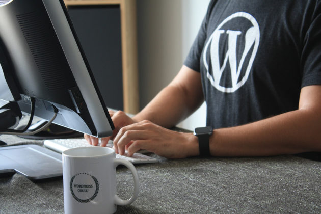 WordPress-designer-dezvoltator-coder-programator