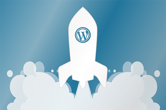 wordpress-hosting-marketing-website-design-dezvoltare