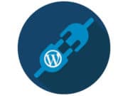 WordPress-Plugin-uri-Teme-Suplimente