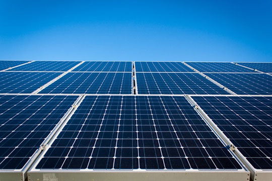 Solar-Plant-Panel-Energy-2