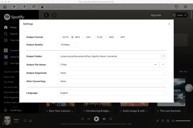pazu-spotify-music-converter-2