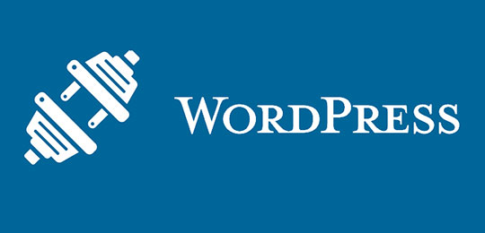 Wordpress プラグイン