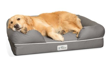 I 10 migliori letti in memory foam per cani del 2023 - 4 cose che devi sapere prima dell'acquisto