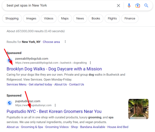 Google-search-ads-best-pet-spa-in-new-york