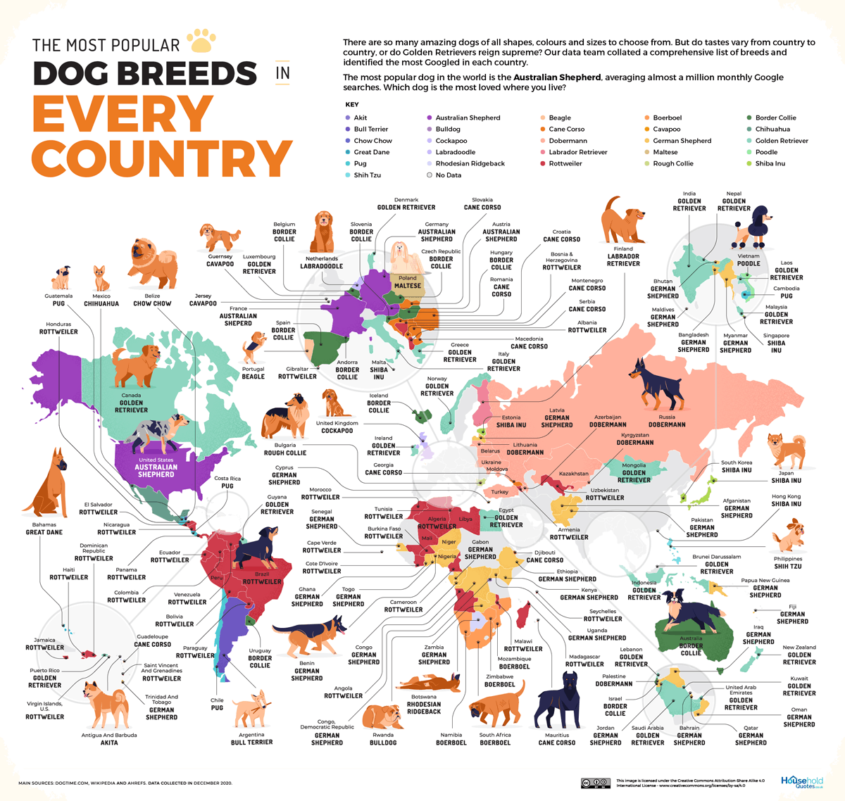 Dünyadaki köpek ırklarının infografikleri