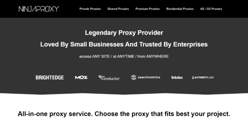 NinjaProxy 웹사이트 홈페이지 스크린샷.