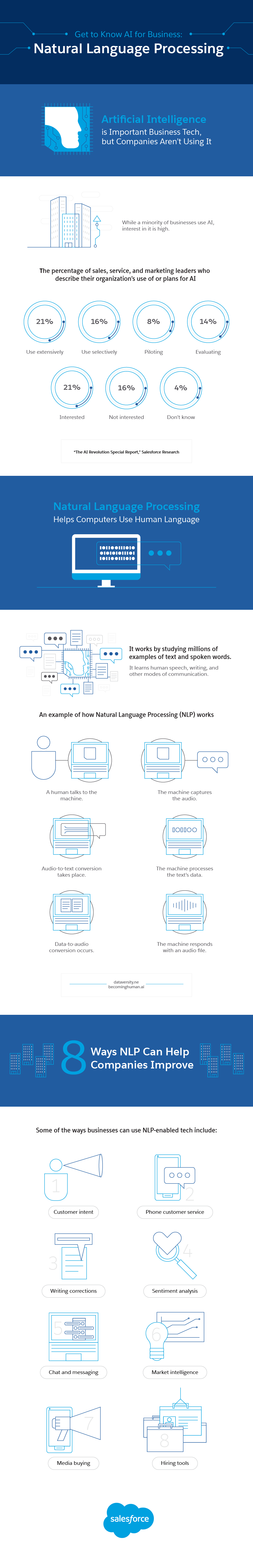 ビジネス向け AI を理解する: 自然言語処理