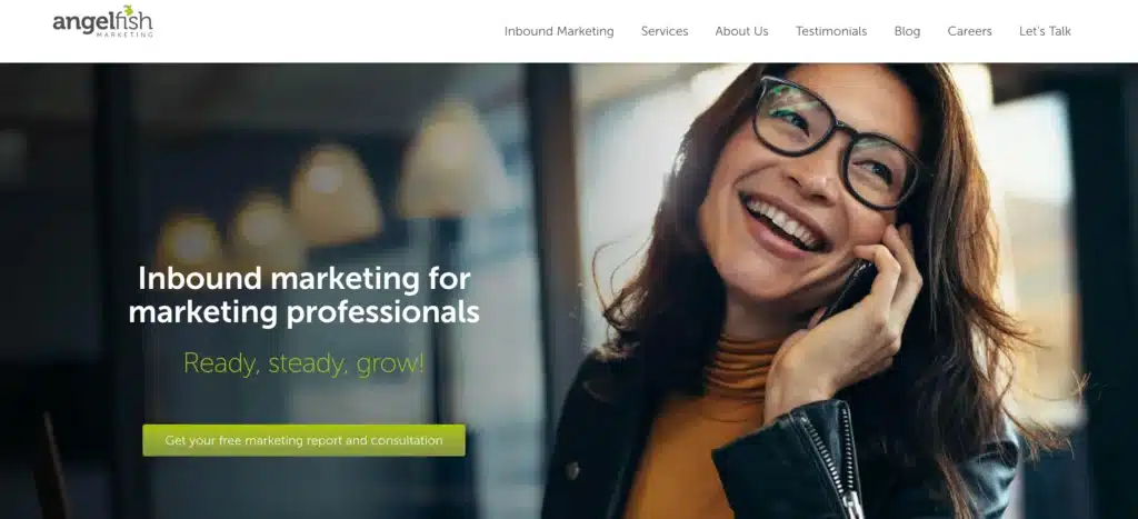 Site-ul Angelfish Marketing