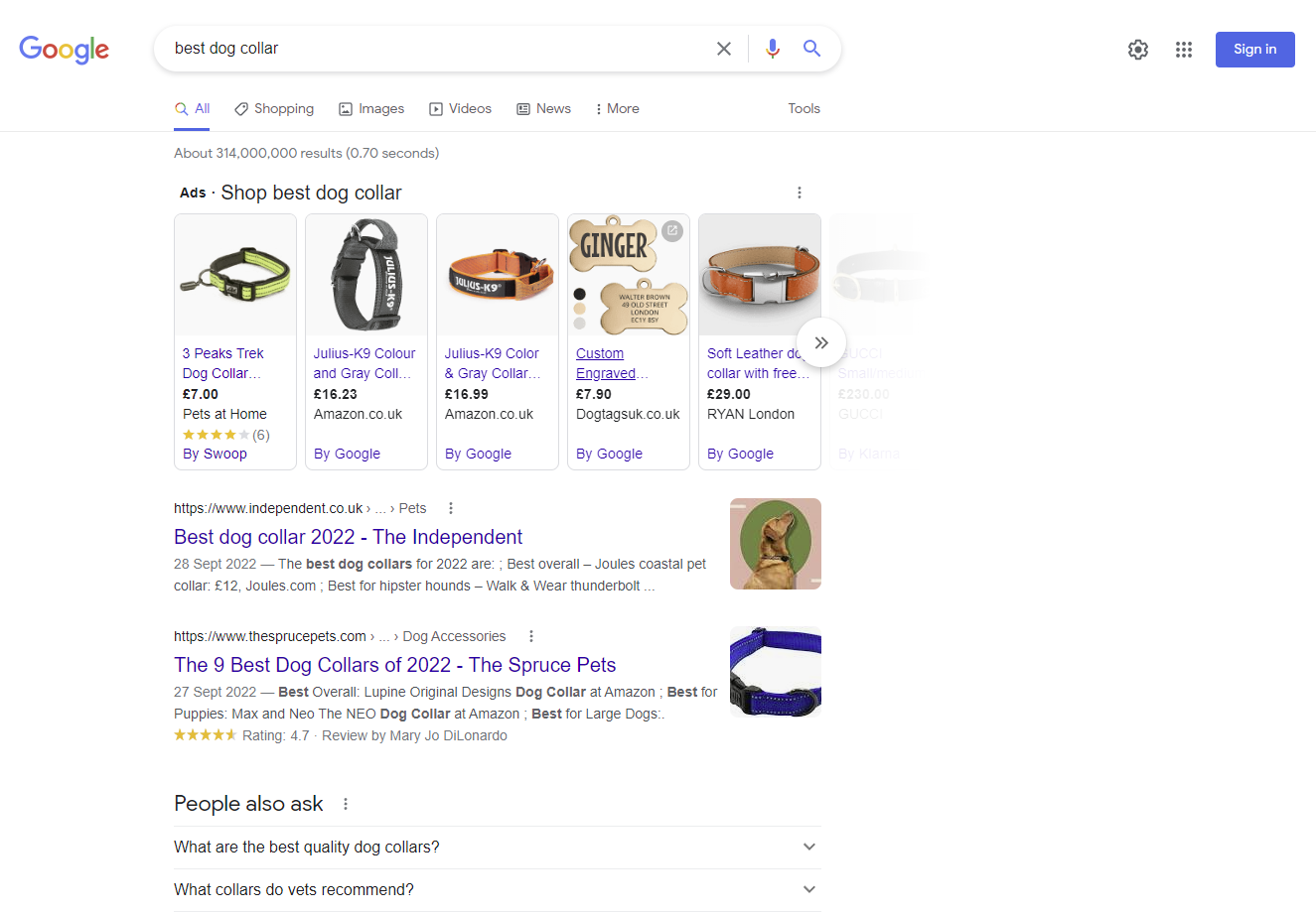 Google 搜尋「最佳狗項圈」的螢幕截圖