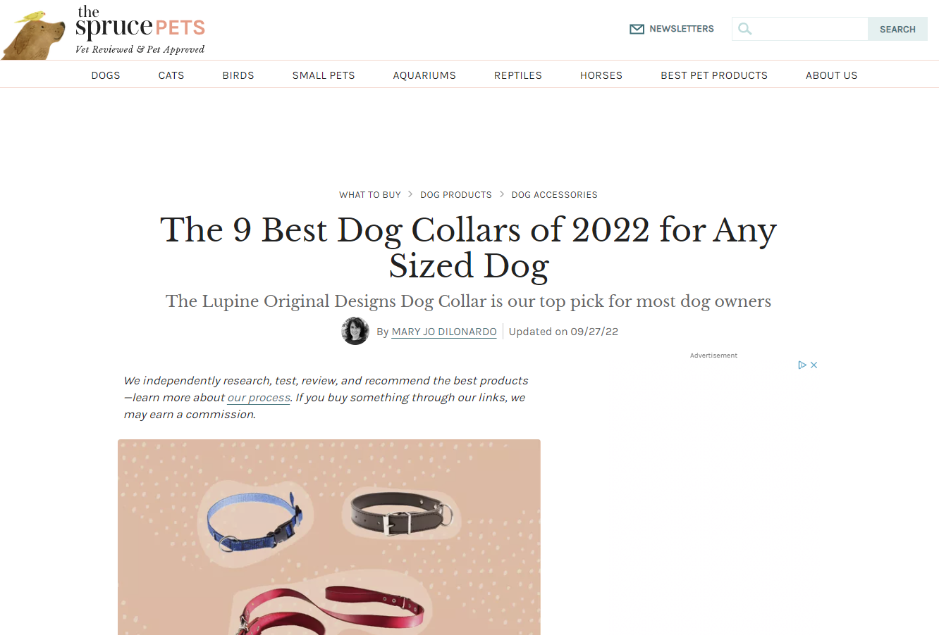 標題為「2022 年適合任何體型狗的 9 款最佳狗項圈」的部落格截圖