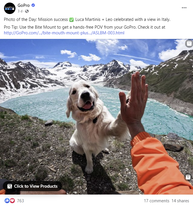 GoPro 在 Facebook 上發布的貼文照片。它展示了一隻狗與一個人擊掌