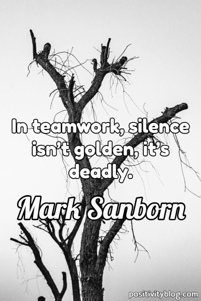 Una cita de trabajo en equipo de Mark Sanborn.