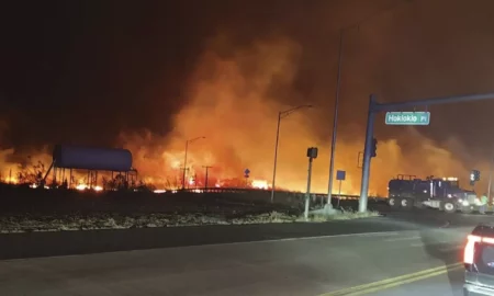 Revelando las alarmantes estadísticas de incendios forestales: un enfoque en el papel de un abogado de incendios forestales de Maui